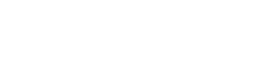 LYKKE LI I NEVER LEARN